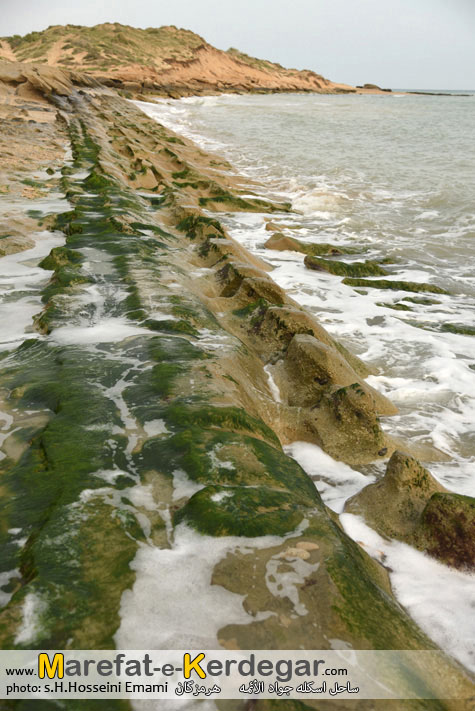 طبیعت جنوب طبیعت جنوب