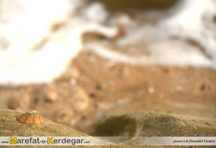 طبیعت استان هرمزگان طبیعت استان هرمزگان