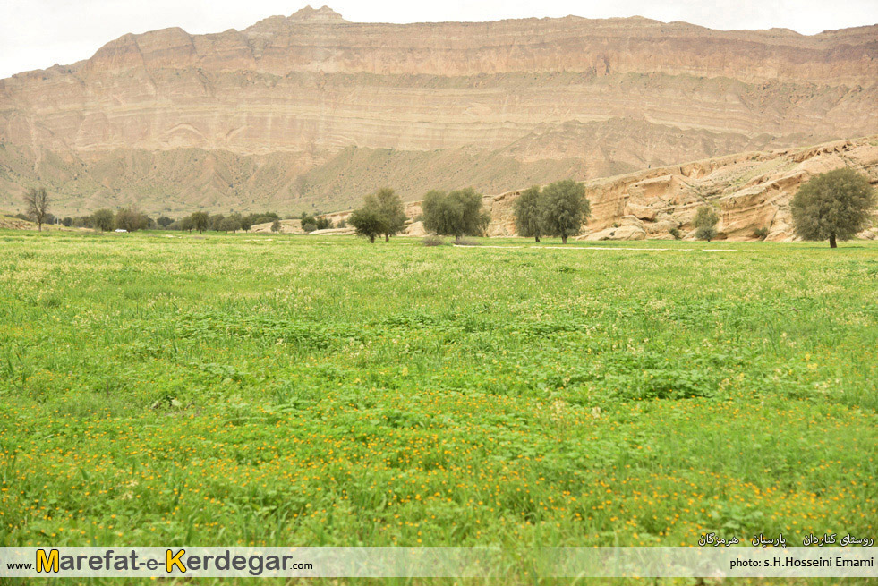 روستای کناردان روستای کناردان