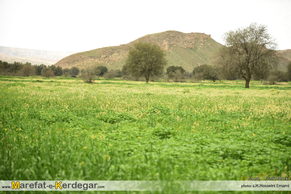 طبیعت بهاری هرمزگان طبیعت بهاری هرمزگان