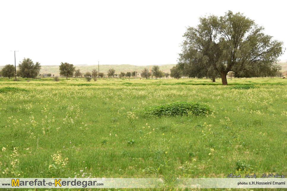 طبیعت بهاری هرمزگان طبیعت بهاری هرمزگان