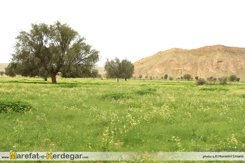 طبیعت بهاری هرمزگان طبیعت بهاری هرمزگان