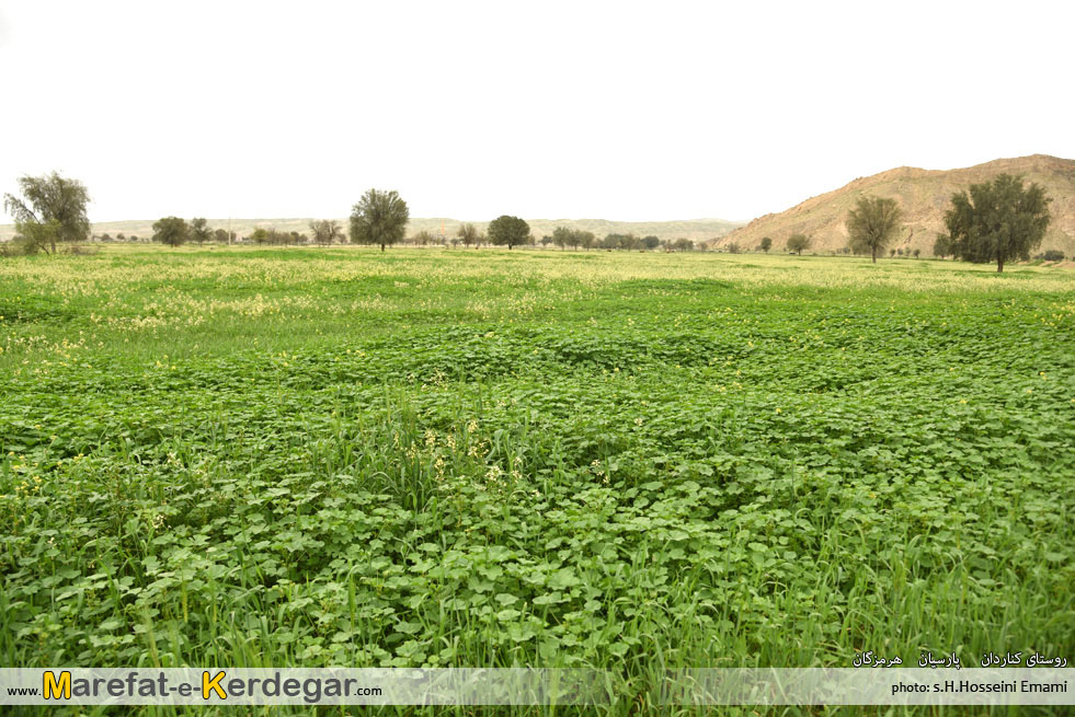 طبیعت بهاری استان هرمزگان طبیعت بهاری استان هرمزگان