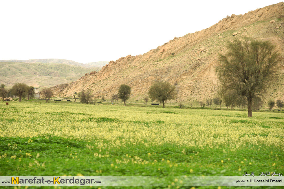 روستای کناردان روستای کناردان