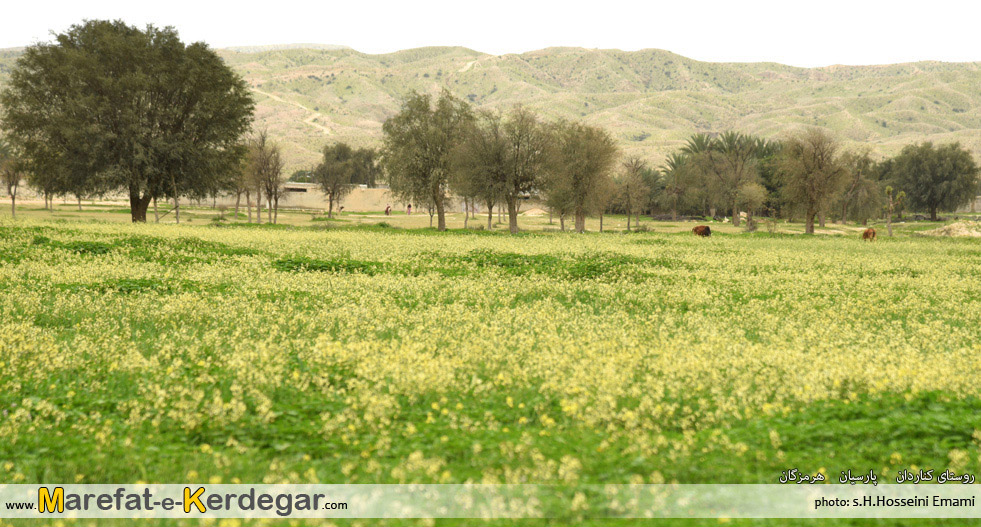 طبیعت بهاری ایران طبیعت بهاری ایران