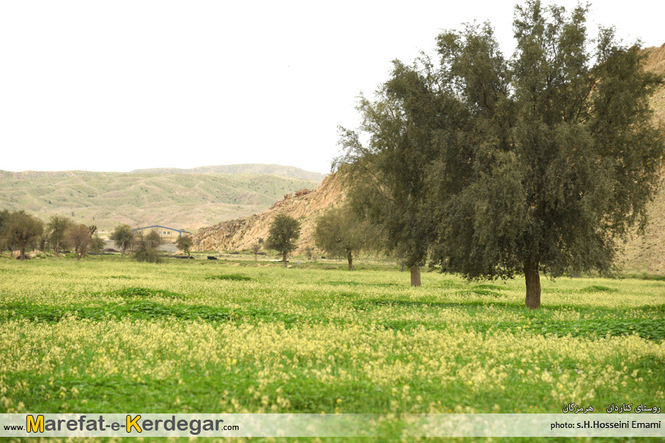 روستای کناردان روستای کناردان