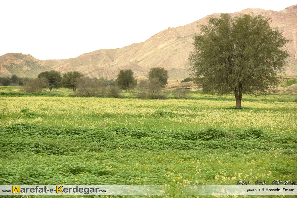 طبیعت شهرستان پارسیان طبیعت شهرستان پارسیان