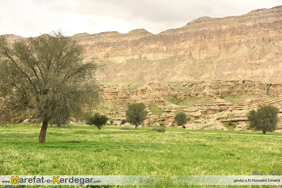 طبیعت بهاری شهرستان پارسیان طبیعت بهاری شهرستان پارسیان