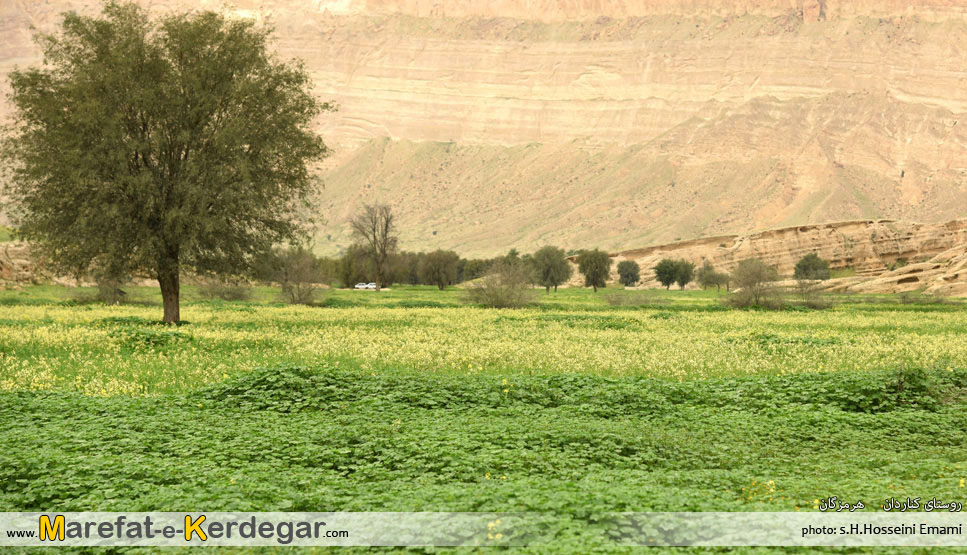 روستای کناردان روستای کناردان