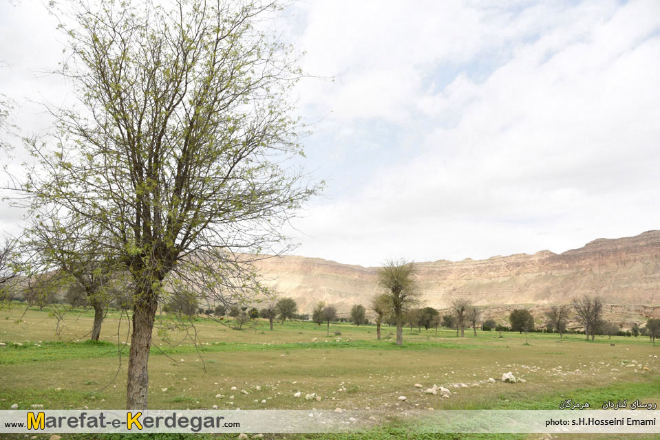 بهار ایران بهار ایران