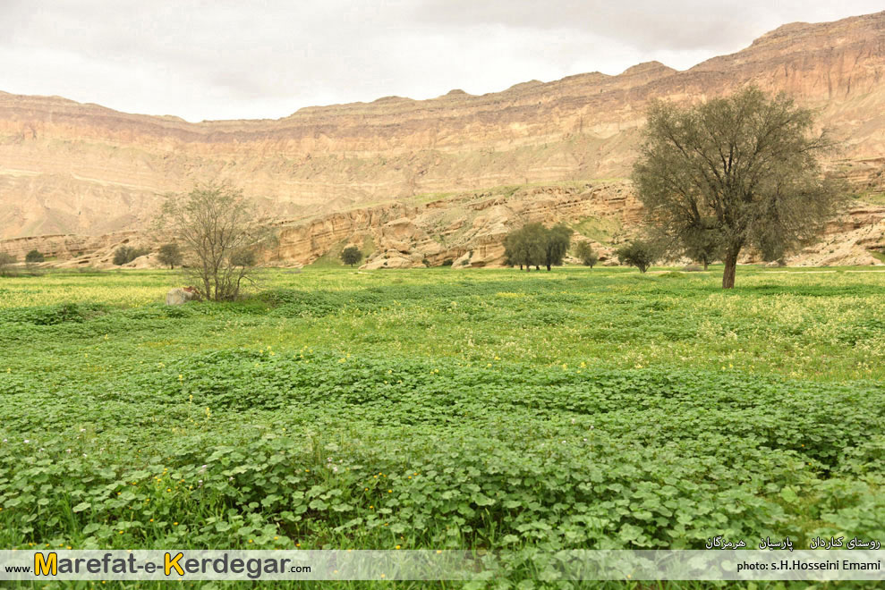 طبیعت بهاری جنوب طبیعت بهاری جنوب