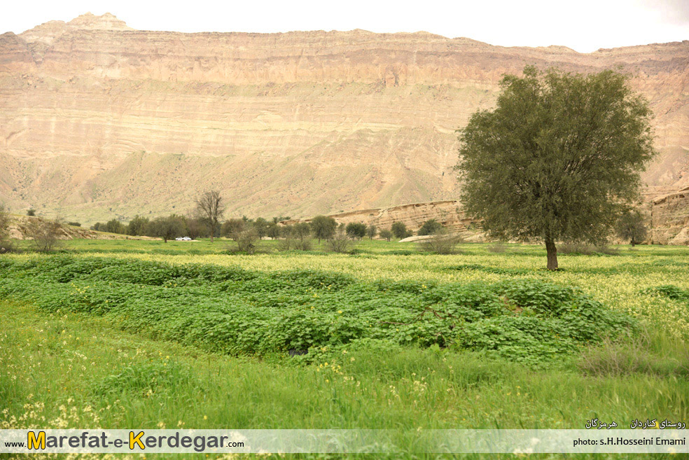 طبیعت بهاری جنوب طبیعت بهاری جنوب