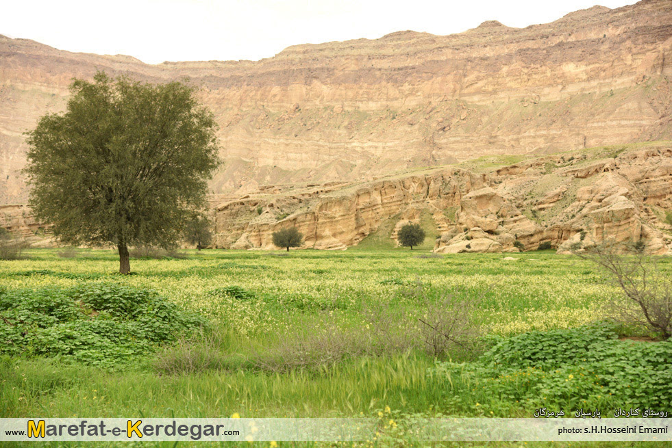 طبیعت بهاری جنوب ایران طبیعت بهاری جنوب ایران