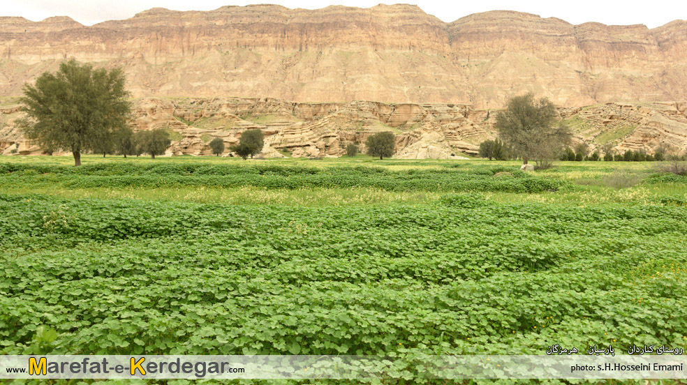 طبیعت بهاری جنوب ایران طبیعت بهاری جنوب ایران