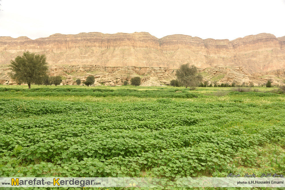 روستای کناردان روستای کناردان