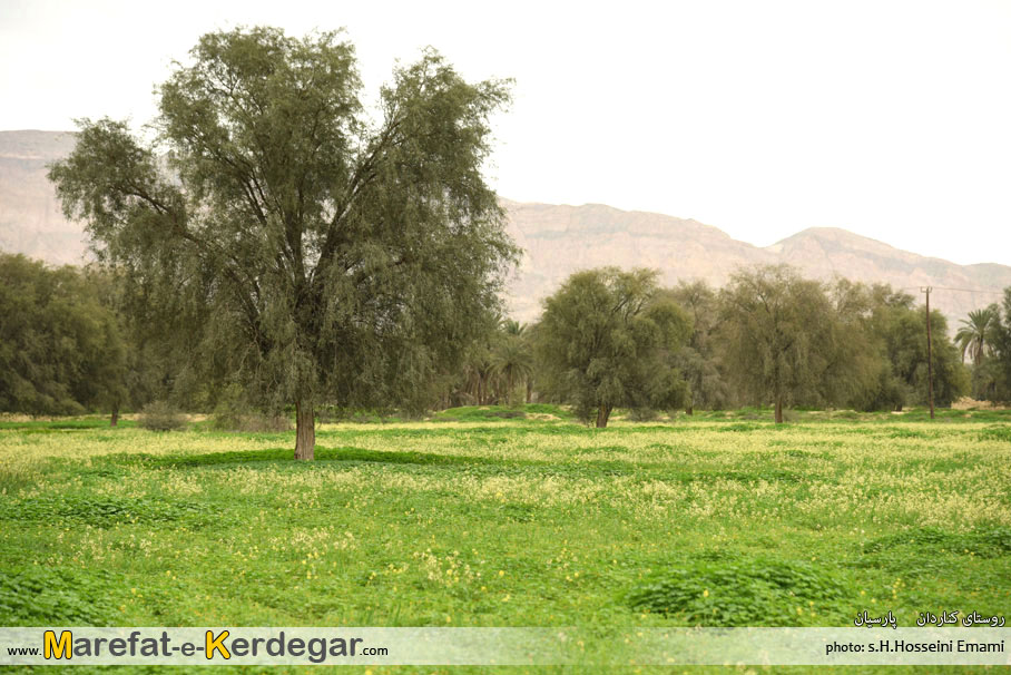 طبیعت بهاری جنوب ایران طبیعت بهاری جنوب ایران