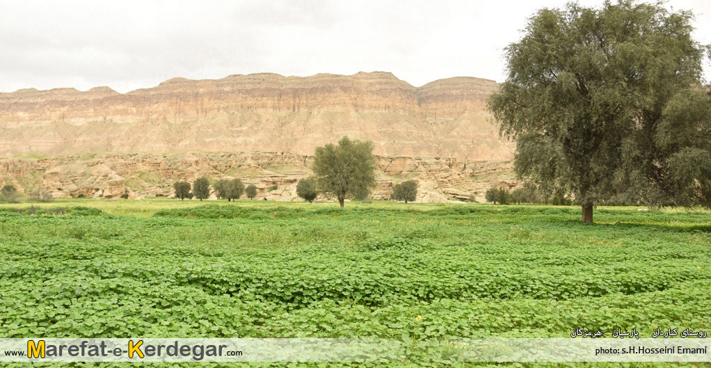 طبیعت جنوب طبیعت جنوب