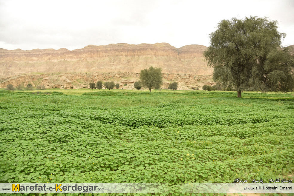 طبیعت جنوب طبیعت جنوب