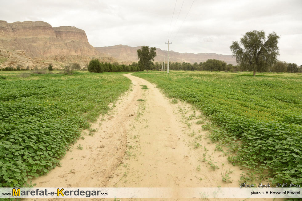طبیعت جنوب ایران طبیعت جنوب ایران