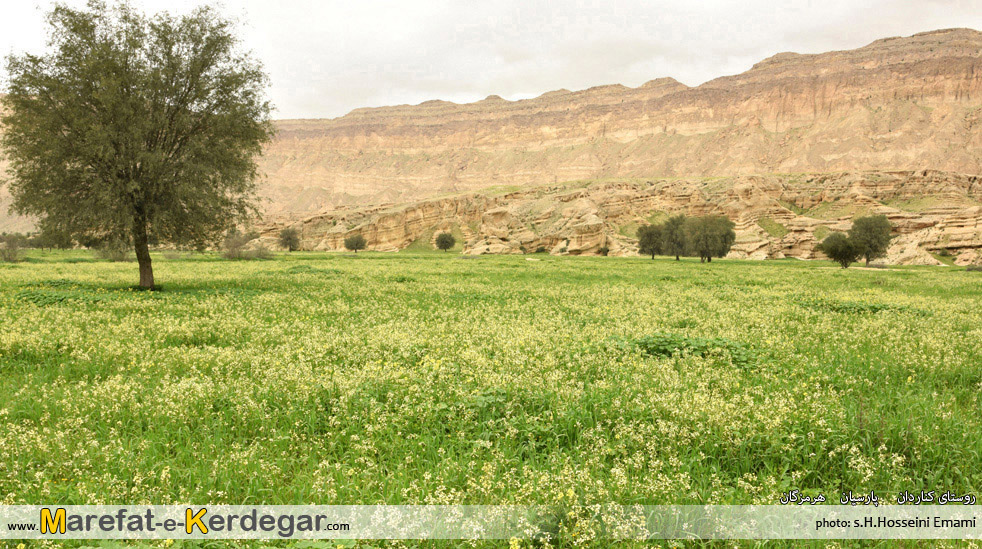 طبیعت جنوب ایران طبیعت جنوب ایران