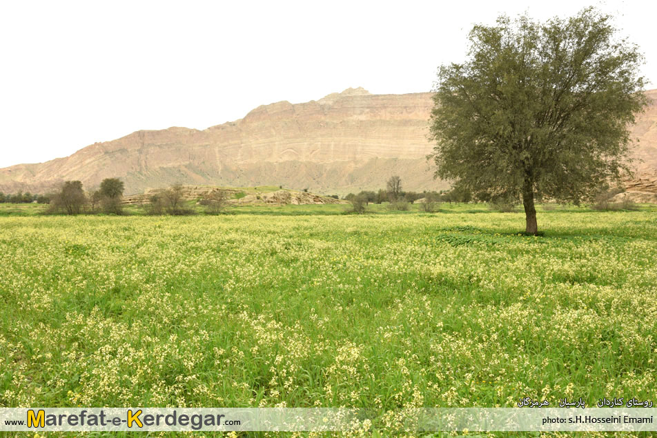 طبیعت استان هرمزگان طبیعت استان هرمزگان