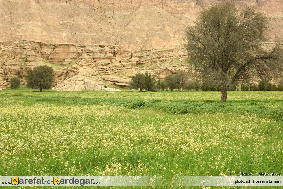 روستای کناردان روستای کناردان