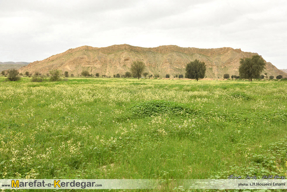 طبیعت شهرستان پارسیان طبیعت شهرستان پارسیان