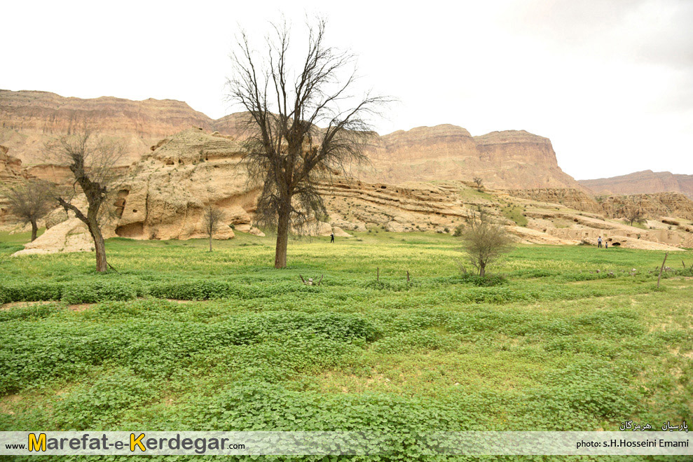 دیدنی های جنوب دیدنی های جنوب