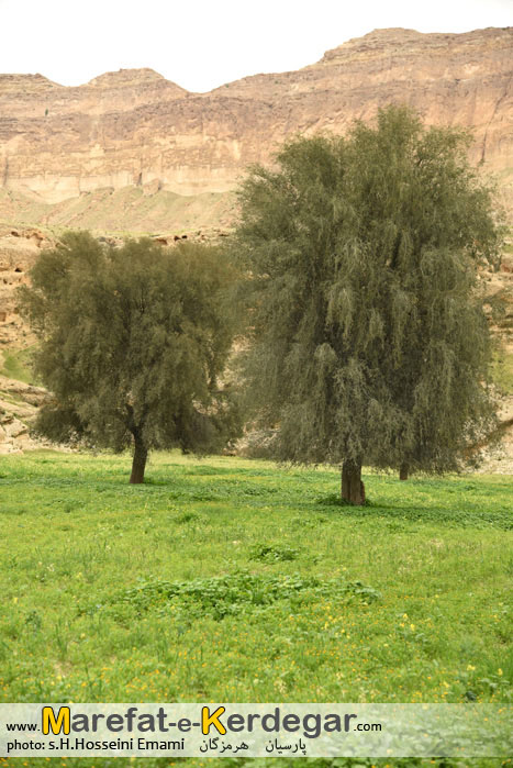 کوه های استان هرمزگان کوه های استان هرمزگان