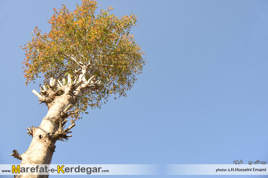 پاییز طرقبه پاییز طرقبه