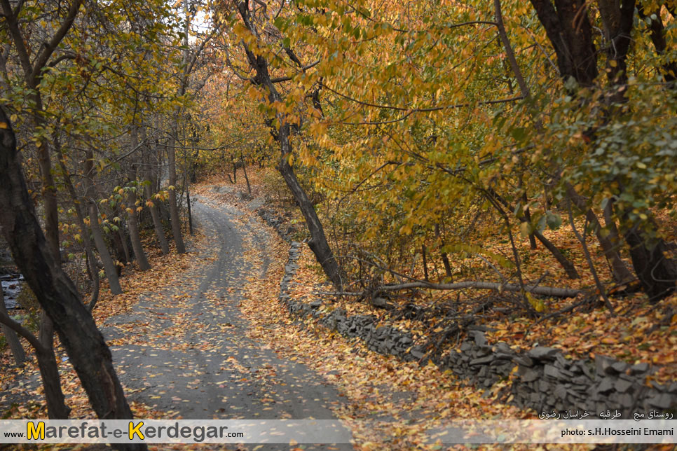 پاییز روستای مج