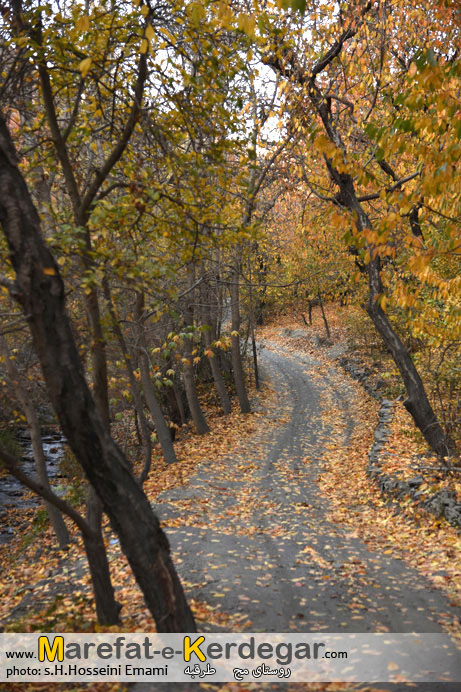 پاییز روستای مج