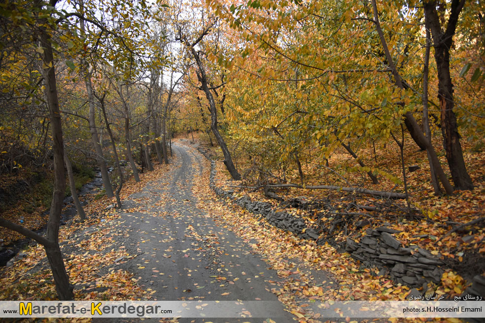 پاییز خراسان رضوی پاییز خراسان رضوی
