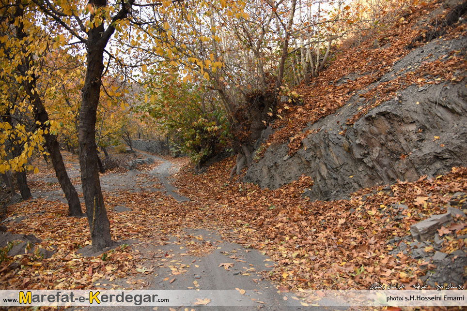 پاییز ایران