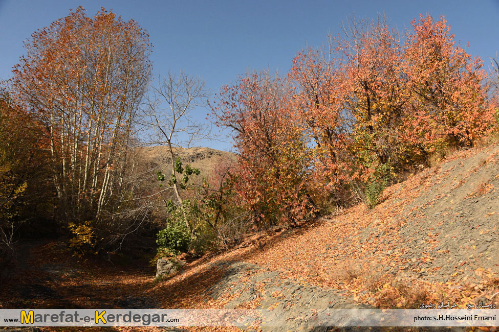 پاییز ایران پاییز ایران