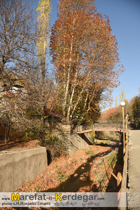 پاییز طرقبه پاییز طرقبه
