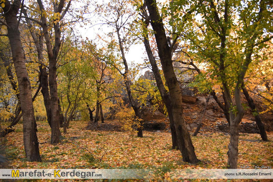 طبیعت پاییزی ایران طبیعت پاییزی ایران