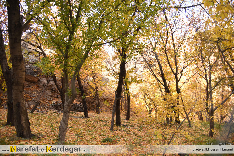 پاییز اطراف مشهد پاییز اطراف مشهد