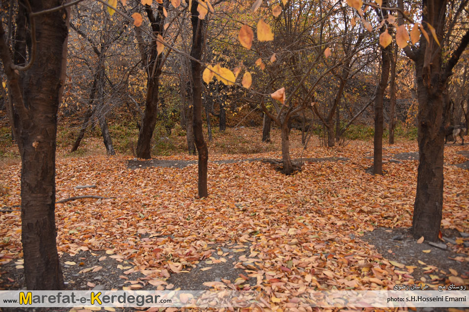 پاییز اطراف مشهد پاییز اطراف مشهد