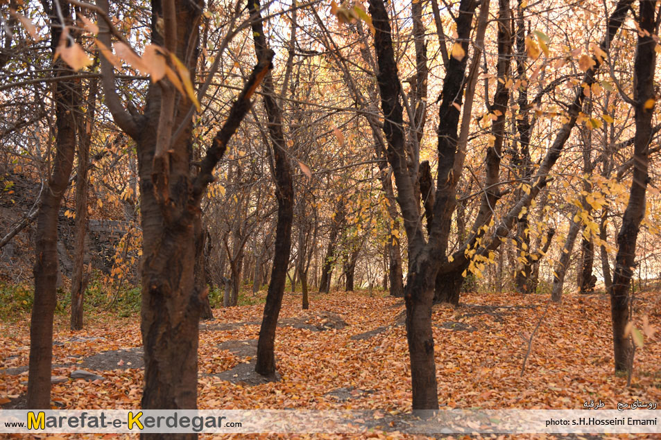 روستای مج روستای مج