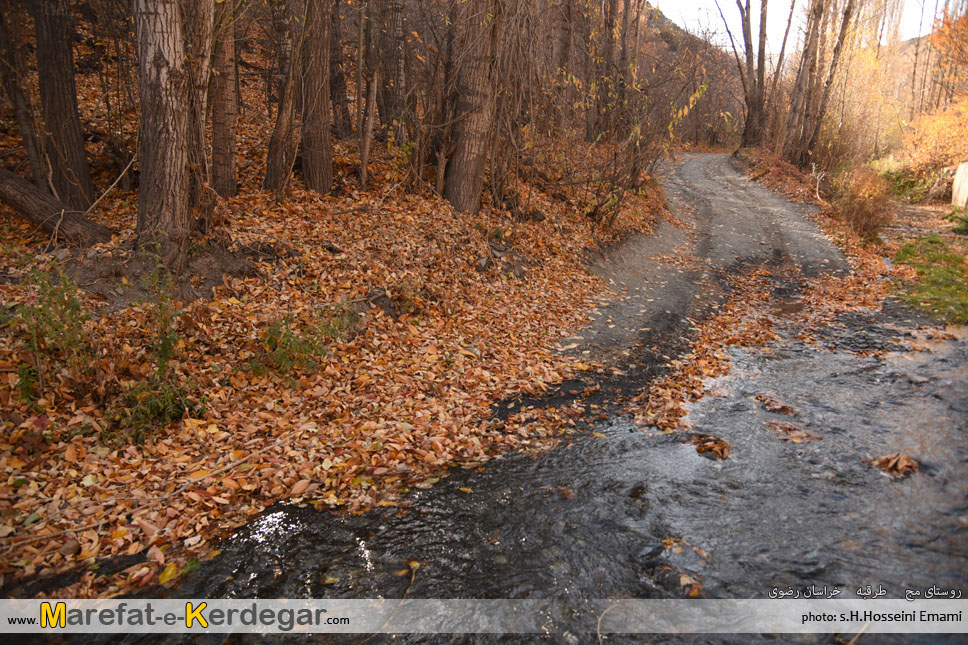 طبیعت روستای مج طبیعت روستای مج