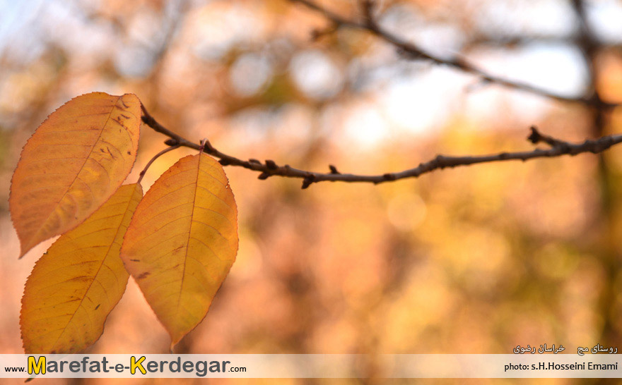 عکس های پاییزی خراسان عکس های پاییزی خراسان