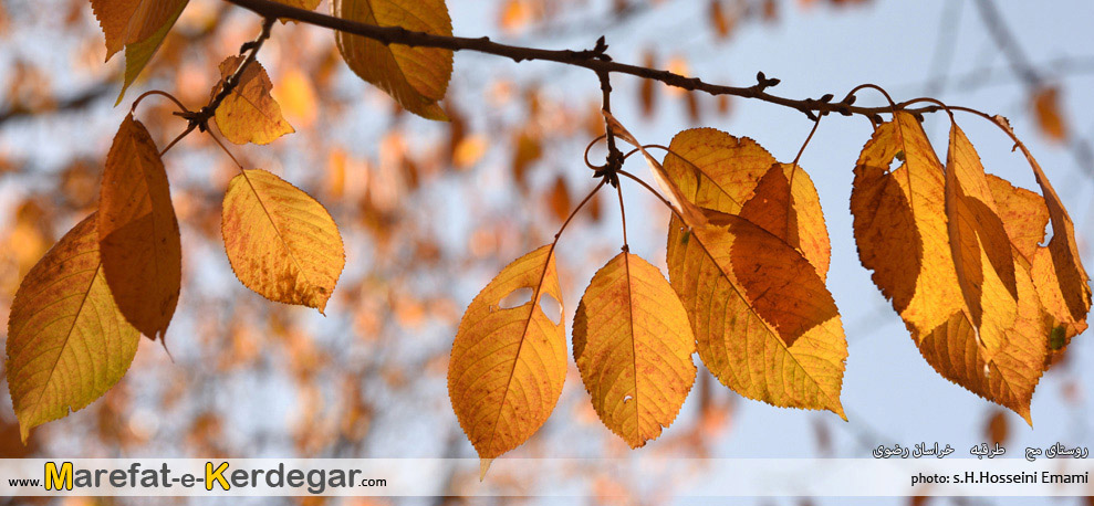 عکس های پاییزی خراسان عکس های پاییزی خراسان