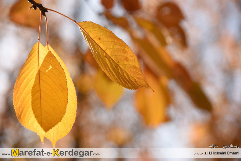 عکس های پاییزی ایران عکس های پاییزی ایران