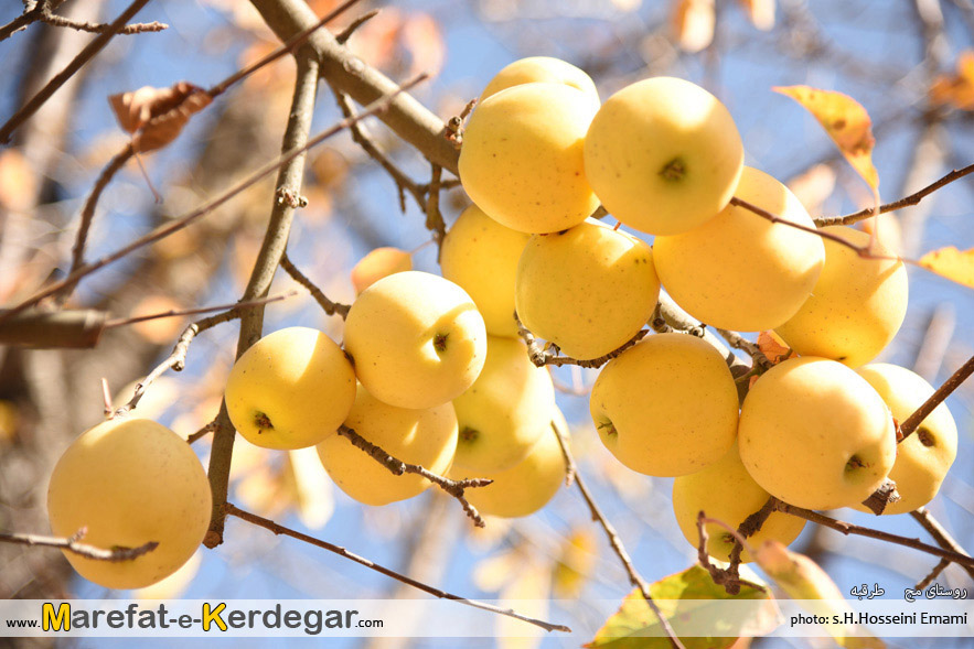 دیدنی های طرقبه دیدنی های طرقبه