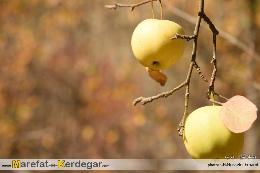 دیدنی های طرقبه دیدنی های طرقبه