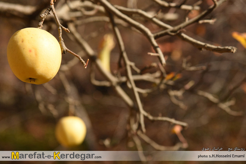 دیدنی های خراسان رضوی دیدنی های خراسان رضوی