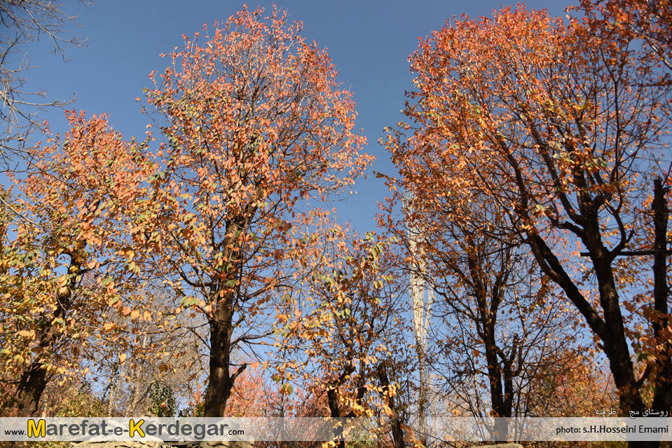 پاییز خراسان پاییز خراسان