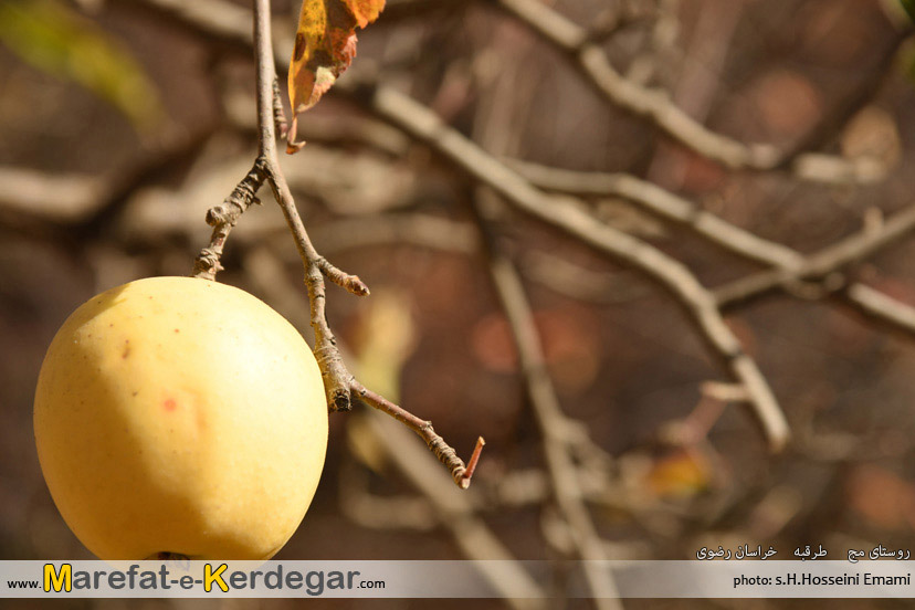 دیدنی های خراسان رضوی دیدنی های خراسان رضوی