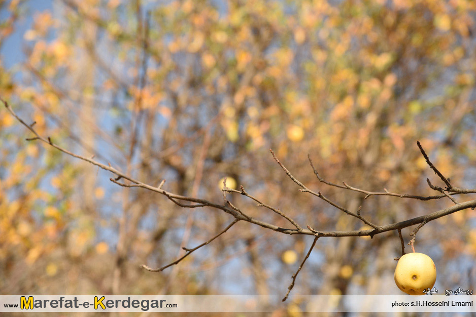 دیدنی های خراسان رضوی دیدنی های خراسان رضوی